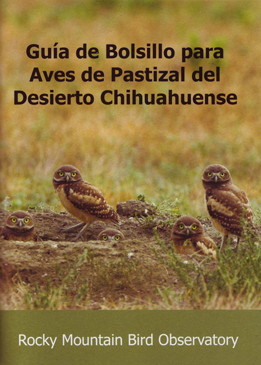Chihuahuan Desert bird guide front cover